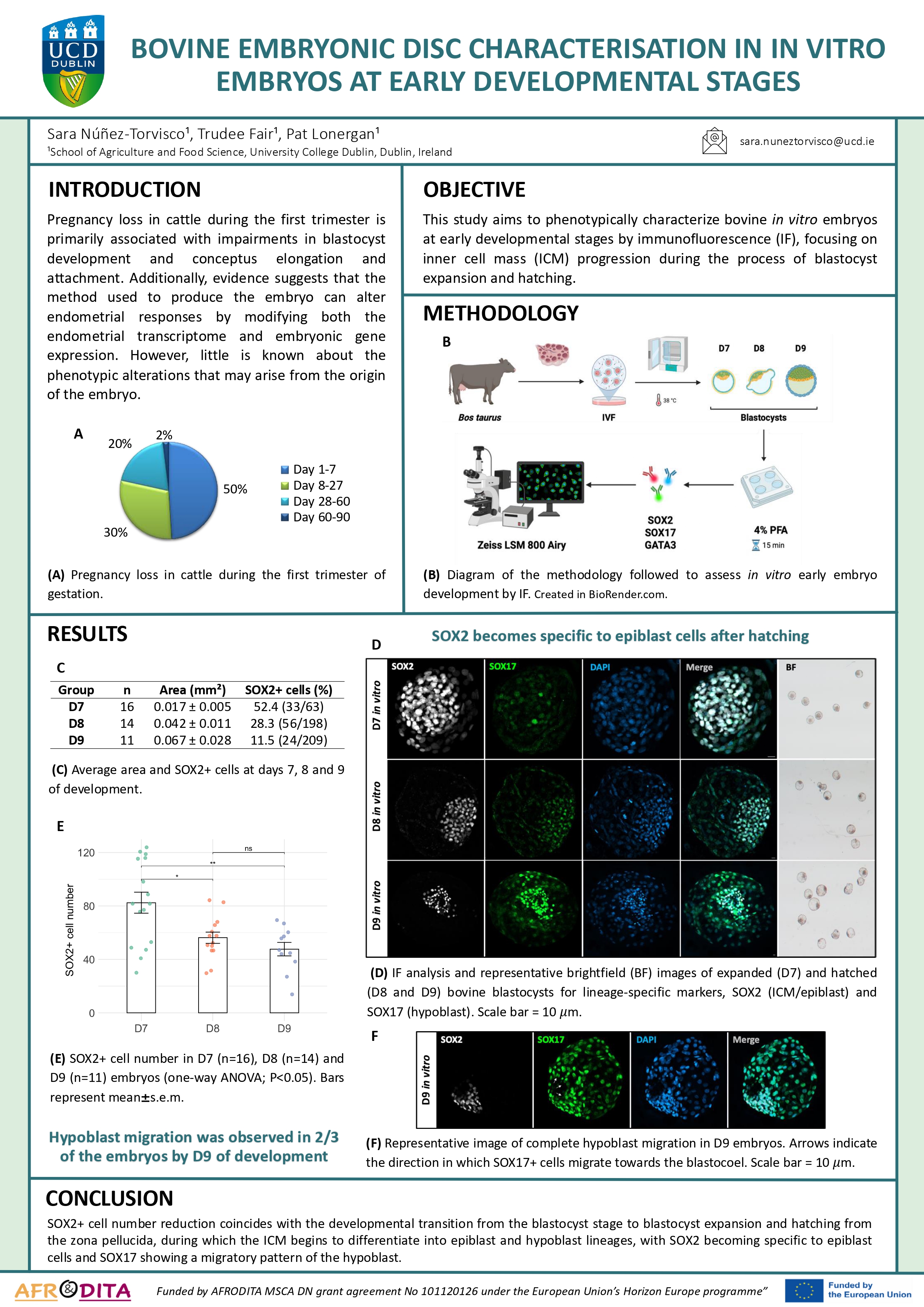 Poster Sara Núñez