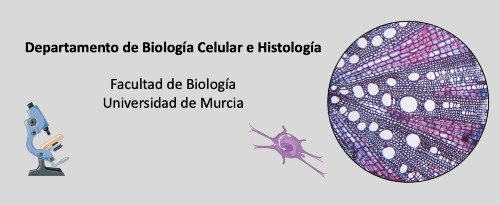 Ciencia y Docencia en Biología 2.0