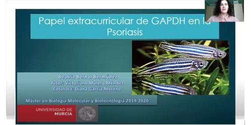 Papel extracurricular de GAPDG en pa Psoriasis